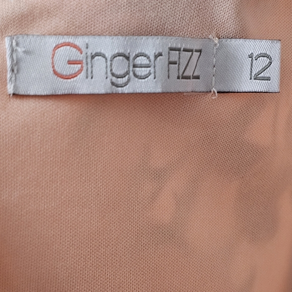 Nwot Ginger Fizz Sleeveless Plunging V Peach/Red Roses Asymmetrical Midi… - Picture 4 of 17